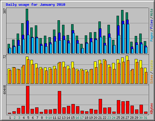 Daily usage for January 2010