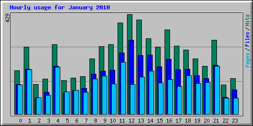Hourly usage for January 2010